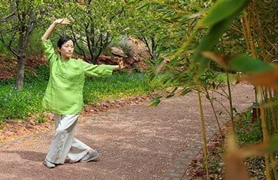 Physical Healing with Qigong Exercises - Online Course