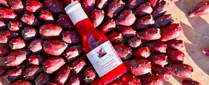 Sedona Mago’s Succulent Prickly Pear Nectar and Jam