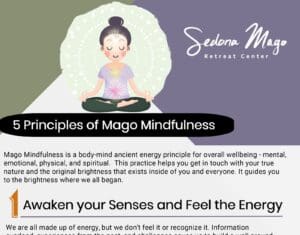 Five Principles of Mago Mindfulness - Infographic