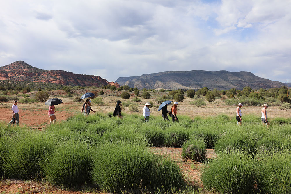 sedona-vortex-healing-retreat-cultivate-inner-peace