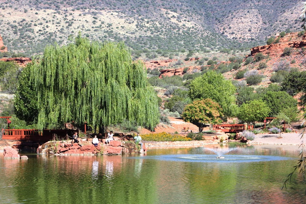 Detox_FAQ Amid peaceful willows and vibrant trees, people gather by the pond as red rocks and green hills rest beneath a serene, open sky.