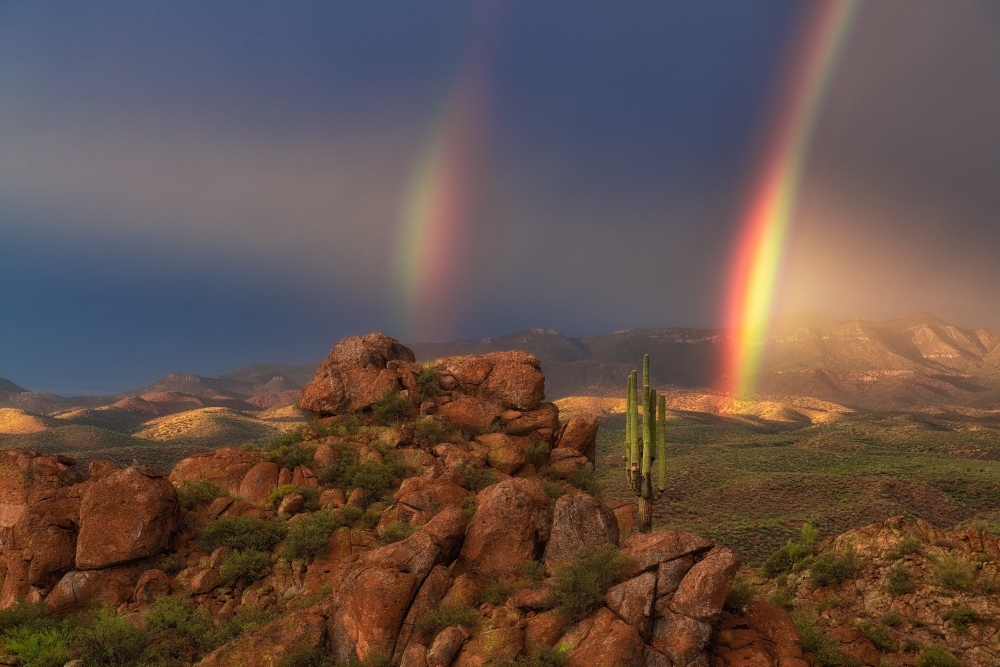 SWR FAQ photo Rocky desert hills, green shrubs, tall cacti, and two bright rainbows arching over distant mountains beneath a vivid sky.