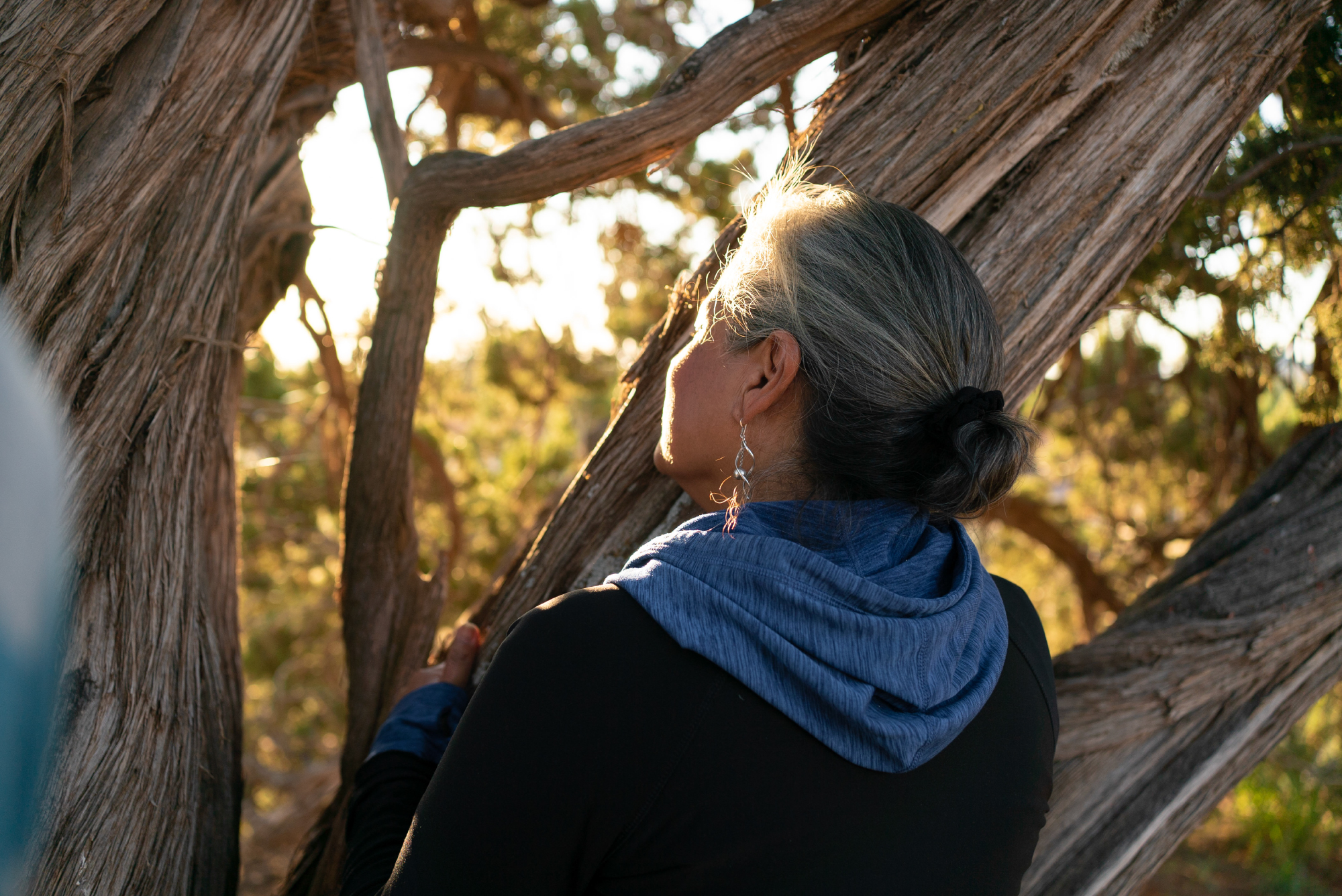 SM-Program-Images-NY-4 A gentle soul with gray hair swirled in a bun, glasses perched thoughtfully, and a blue scarf draped softly around the neck leans into the embrace of an old, twisted tree trunk. Their gaze follows rays of sunlight as they weave through the overhanging branches, surrounded by nature’s tranquil presence.