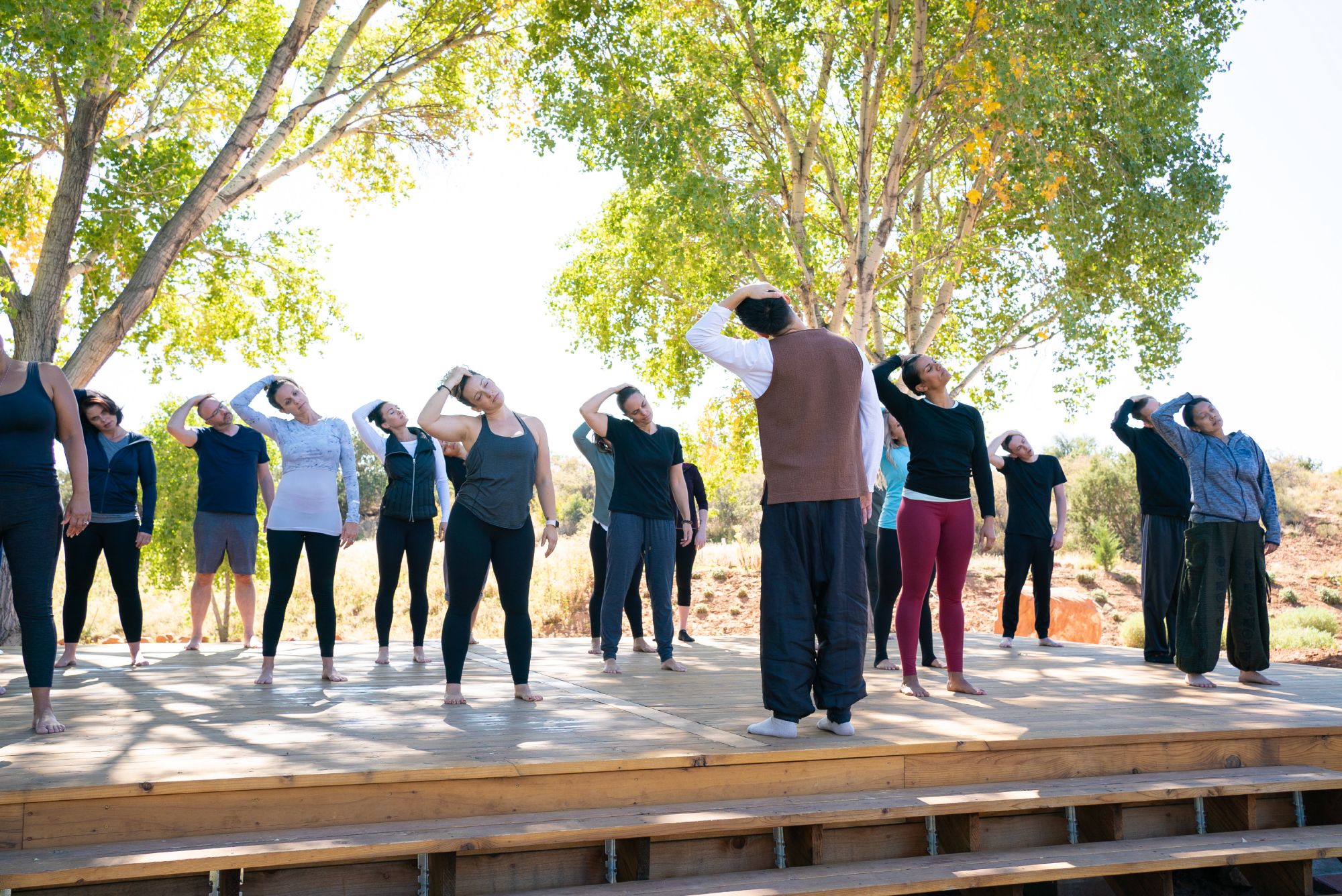 SM-Program-Images-v13 On a sun-kissed wooden stage beneath the tranquil embrace of trees, a group of people move together in outdoor stretching exercises, each gently touching their head with one hand as golden light filters through the leafy canopy.
